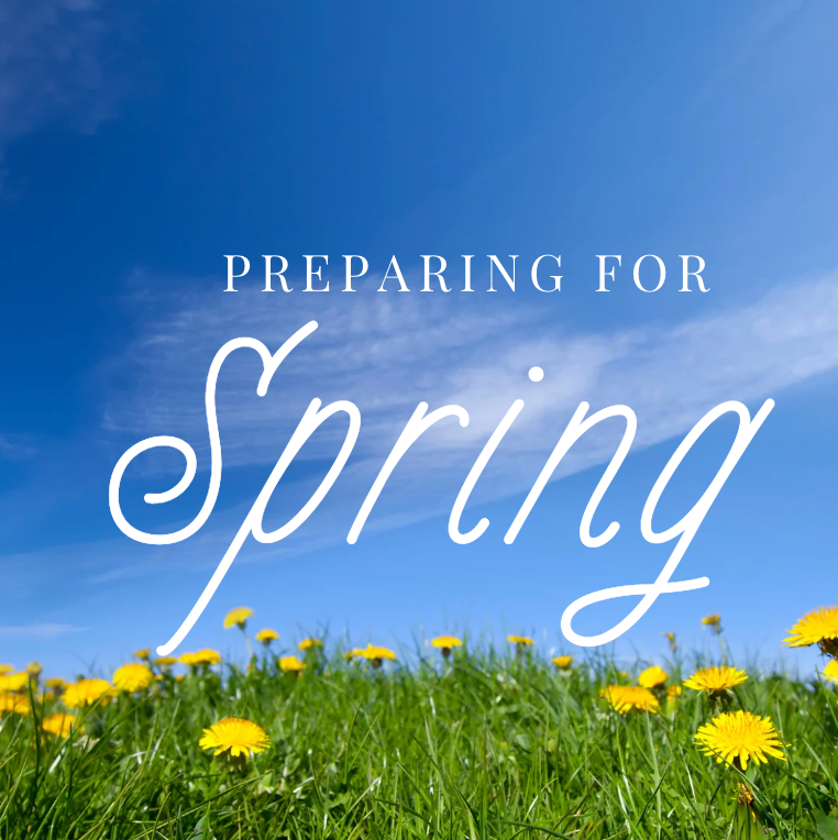 Welcoming the Spring Equinox: A Time for Light, Renewal, and Fresh Beginnings